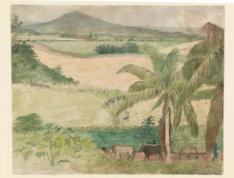 Plantation de sucre - esclave coupant la canne