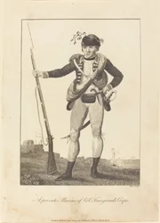 Un Marine Privé du Corps du Col. Fourgeoud