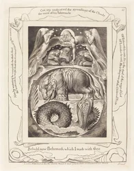 Béhémoth et Léviathan