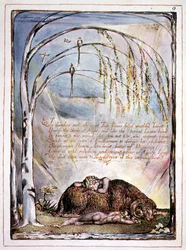 "Dans les tonnerres finit la voix", planche 7 de 