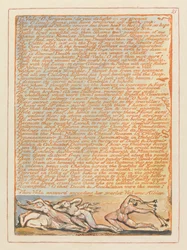 O Vala! O Jerusalem! erfreut ihr euch an meinen Klagen... (Platte 21)