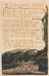 Chansons d