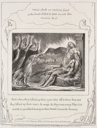 Le Livre de Job : Pl. 7, Et quand ils levèrent les yeux, 1825