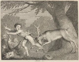 Le cerf apprivoisé