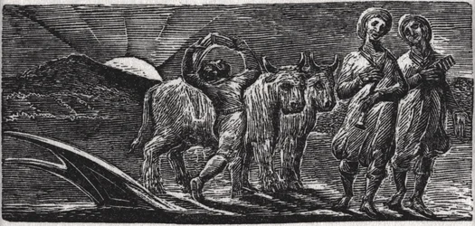 Avec des chansons, les joyeux laboureurs reviennent de la charrue, illustration de 