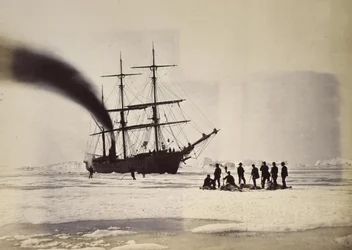 Chasse à la vapeur dans la baie de Melville