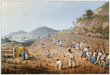 La fragmentation de la terre, extrait de "Ten Views in the Island of Antigua" (Dix points de vue sur l