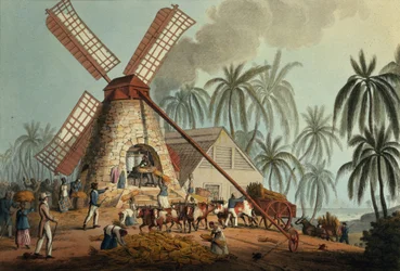 Le broyeur extrait le jus de la canne à sucre, Antigua