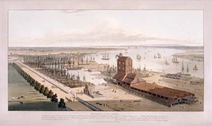 Brunswick Dock et East India Dock, Poplar, Londres, 1803