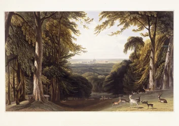 Château de Windsor depuis le parc aux cerfs, vers 1827-1829