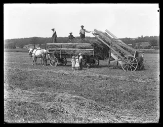 Travailleurs agricoles chargeant du foin sur une charrette tirée par des chevaux sous le regard de trois enfants, ferme McCready, comté de Crawford, Pennsylvanie, vers 1913