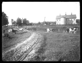 La grange de la ferme McCready et la résidence Thomas, Pennsylvanie, c.1913