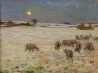 Moutons dans la neige