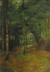 Étude du soleil à travers les arbres, Concarneau