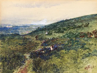 Scène côtière