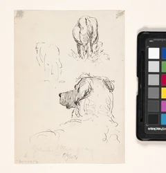 Chien (Recto), Chien et vache (Verso)