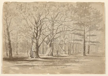 Bois du Collège
