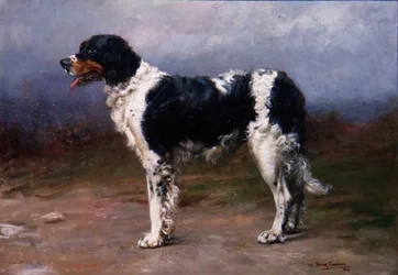 Chien de chasse dans un paysage