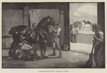 Le Salon du cheval de trait, dernières touches