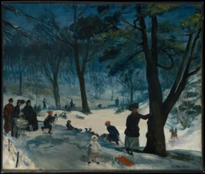 Central Park, hiver