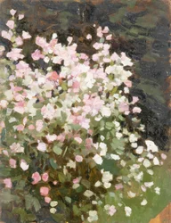 Fleurs roses