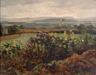Fleurs sauvages