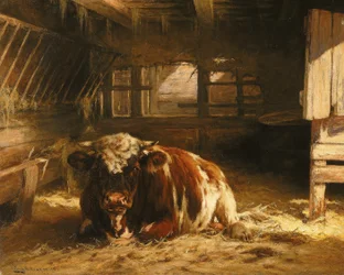 Ma journée à la maison