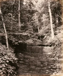 Lac Owasco, Cascade Glen, pour la Lehigh Valley Railroad