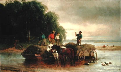 Récolte de la laîche, rivière Shrewsbury, New Jersey