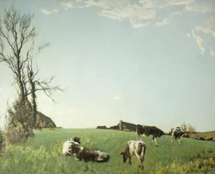 Matin argenté