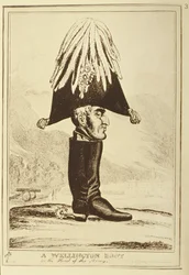 Une Botte Wellington, ou La Tête de l