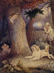 Chasse à la bécasse