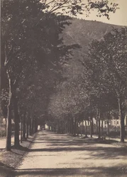 Allée d