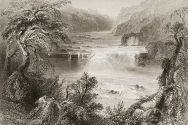 Saut du saumon à Leixlip, comté de Kildare, de 