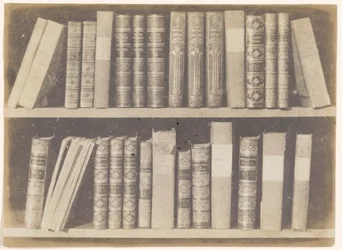 Scène dans une bibliothèque, planche VIII de The Pencil of Nature