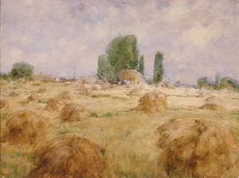 Choc des champs de blé