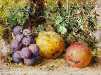Raisins noirs, coing et Newtown Pippin, 1861