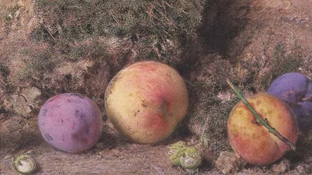 Nature Morte