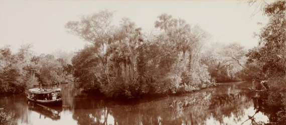 Sur le Tomoka près d