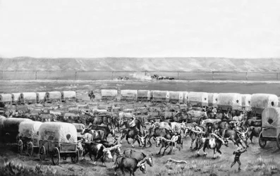 Bœufs attelés dans un corral de chariots couverts dans une peinture de W. H. Jackson, Scotts Bluff, Nebraska : c. 1875