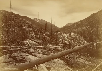 « Roches Moutonnées » près de la montagne de la Sainte-Croix