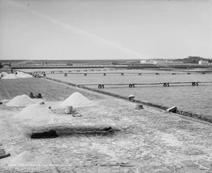 Salines et cuves de raffinage, Mexique, c.1880-97
