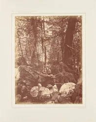 Le sentier dans les bois, Gallatin Cañon