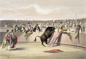 Le taureau franchissant les barrières, 1865