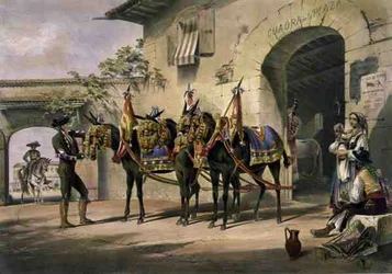 Les mules de la Plaza de Toros