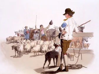 Bergers de moutons et de bovins, tiré de The Costumes of Great Britain, publié par Henry Miller, 1805 (impression coloriée à la main)