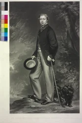 Roi d