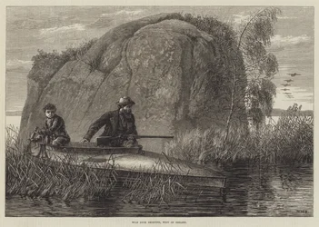 Chasse au canard sauvage, ouest de l