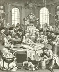 Les quatre étapes de la cruauté