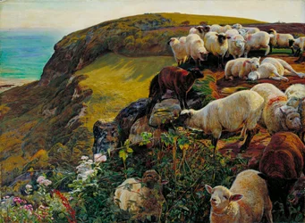 Nos côtes anglaises